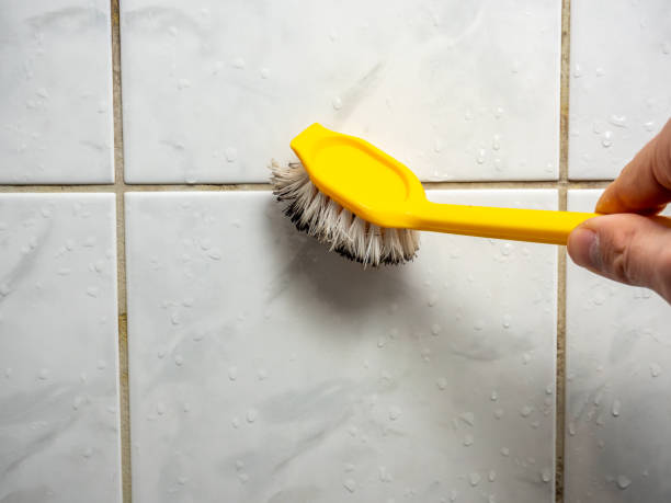 Best Toxic Mold Removal  in Rosemount, OH