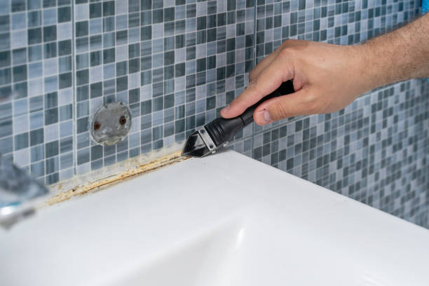 Mold Testing and Removal in Rosemount, OH